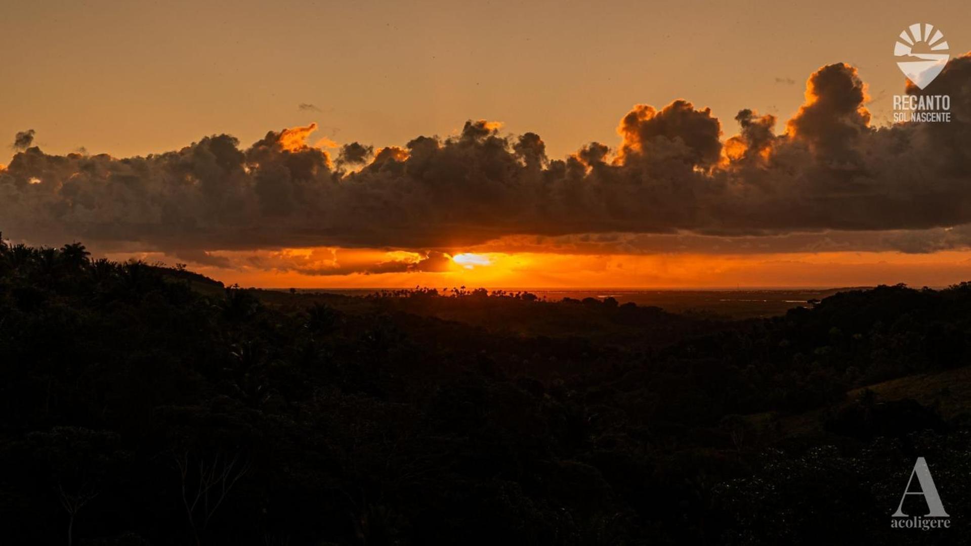 Pousada Recanto Sol Nascente, Luxo E Proximidade Com A Natureza Hotel Rio Formoso Bagian luar foto