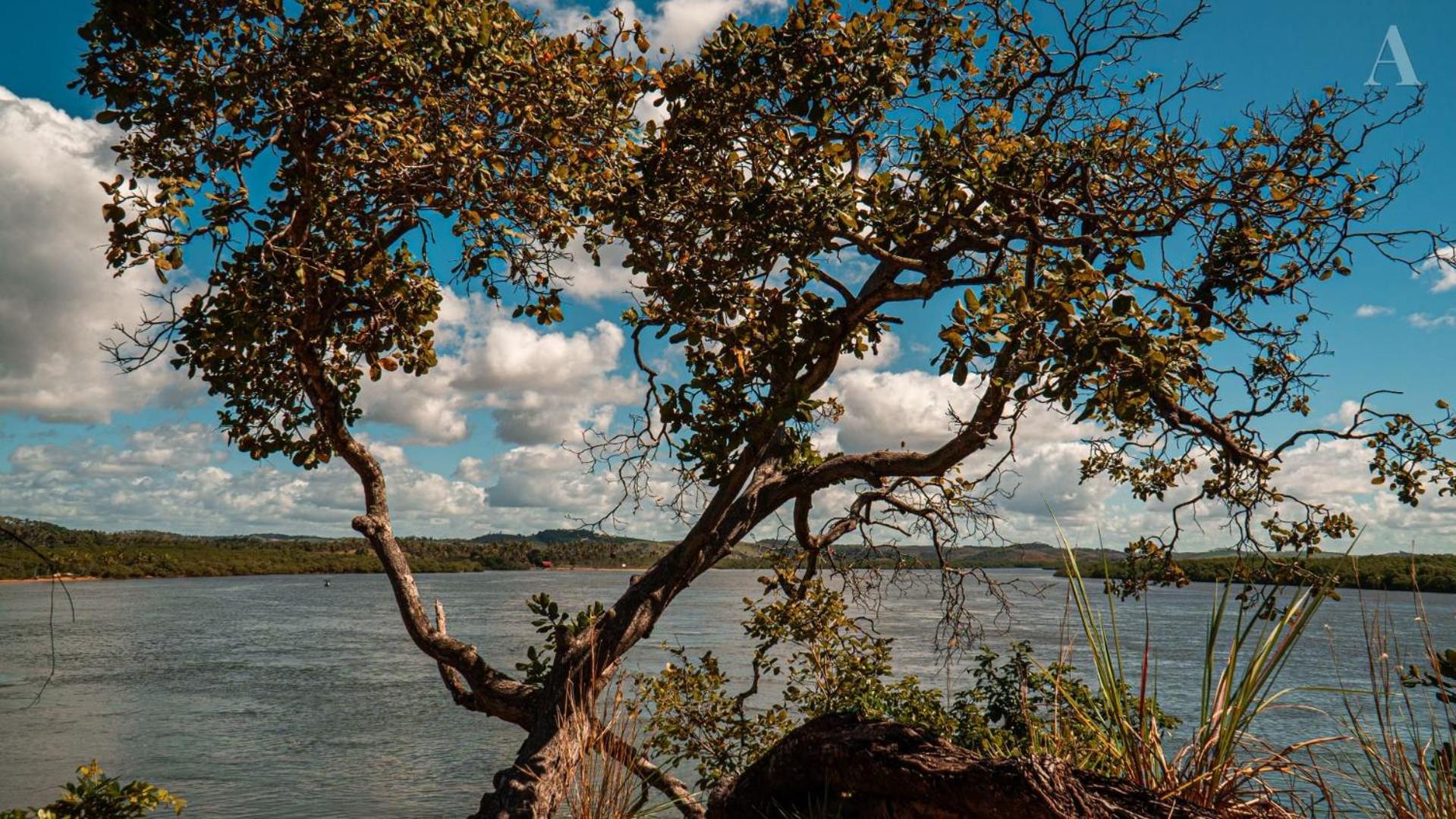 Pousada Recanto Sol Nascente, Luxo E Proximidade Com A Natureza Hotel Rio Formoso Bagian luar foto