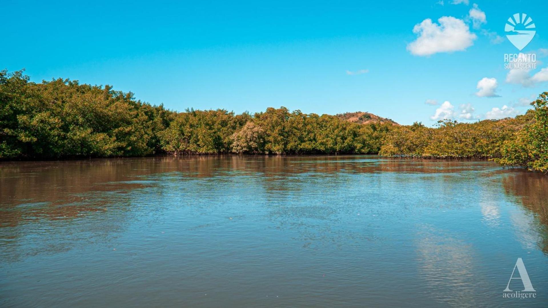 Pousada Recanto Sol Nascente, Luxo E Proximidade Com A Natureza Hotel Rio Formoso Bagian luar foto